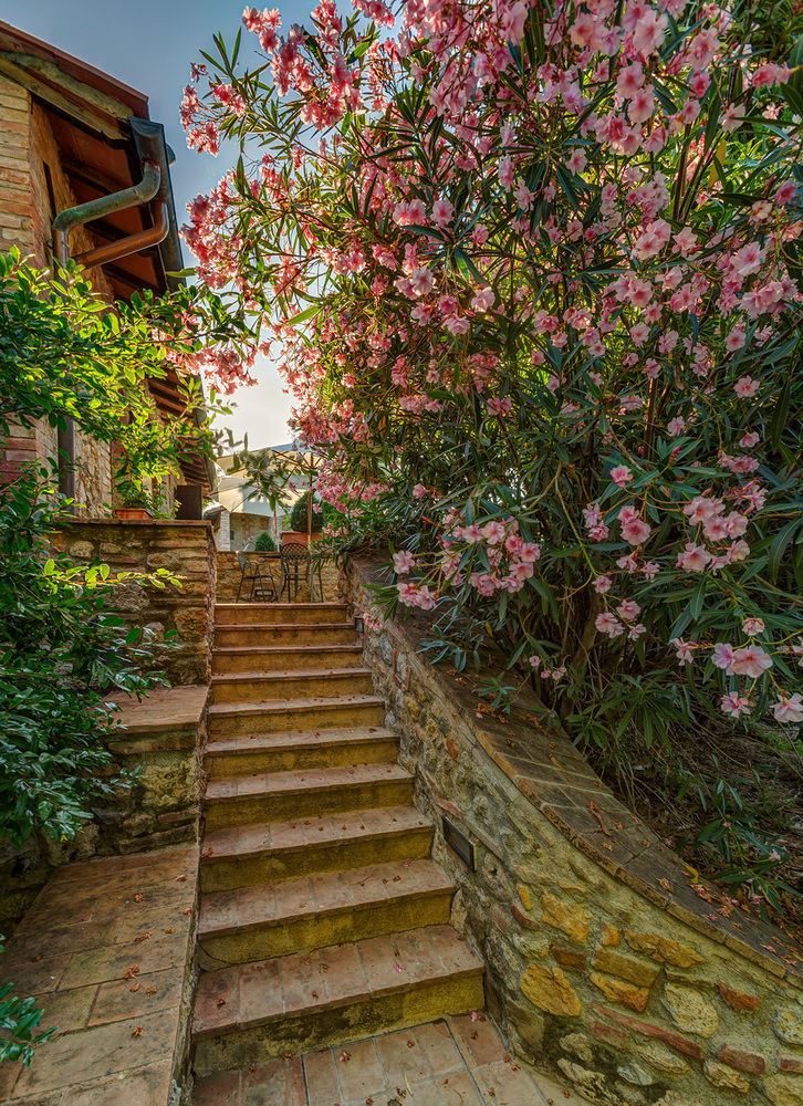 Agriturismo Casanova Di Pescille San Gimignano Ngoại thất bức ảnh